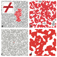 Rigidity in colloidal gels